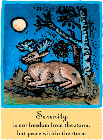 Serenity - Native American #130