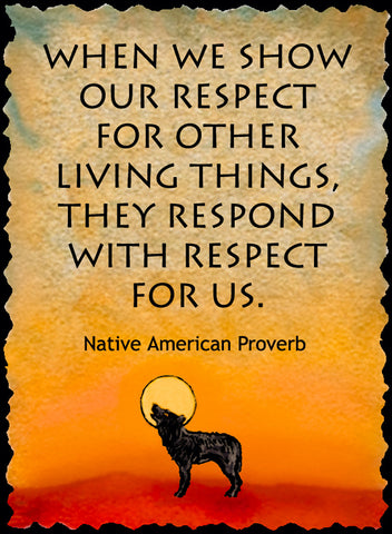When We Show Our Respect - Native American #173