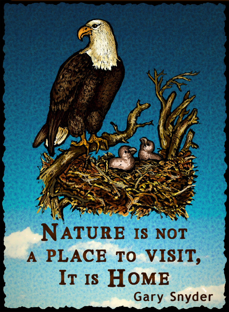 Nature is Not a Place to - Nature #930